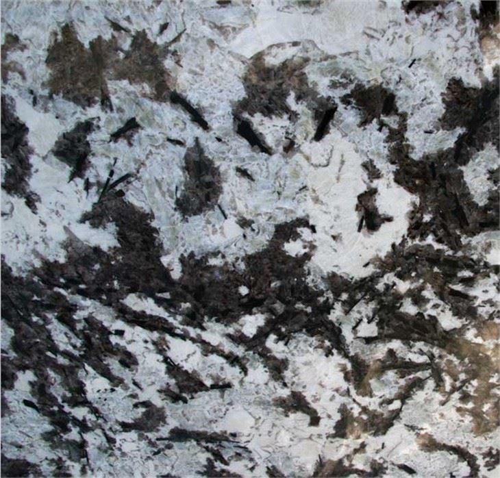 Delicatus White