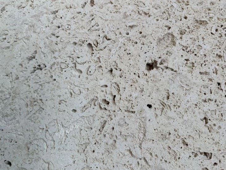 Coralina Beige Coral Stone Wall Cladding